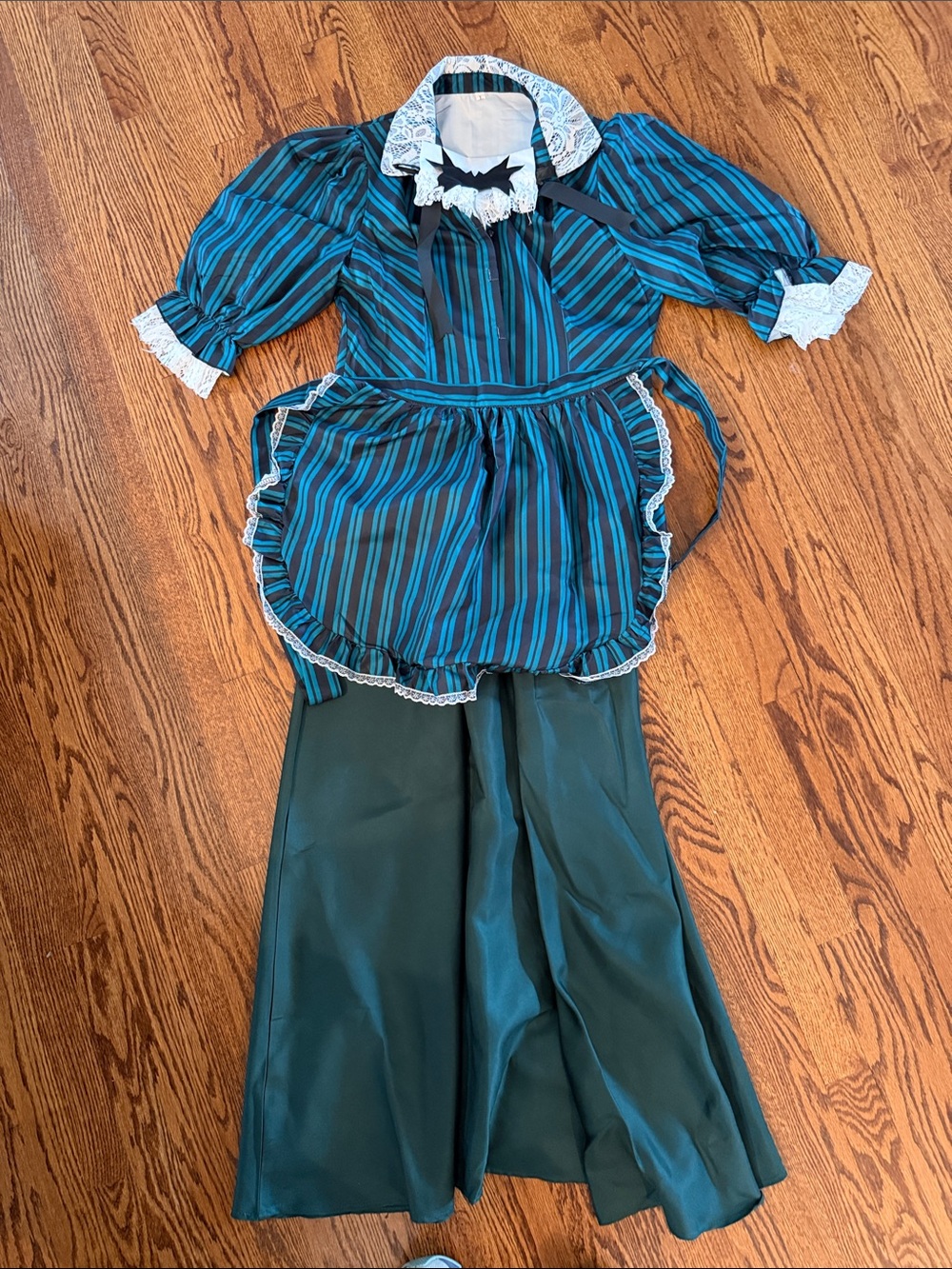 Halloween costume women’s large